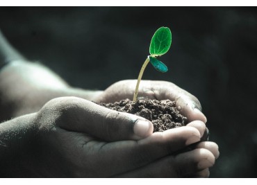 Quin substrat escollim?