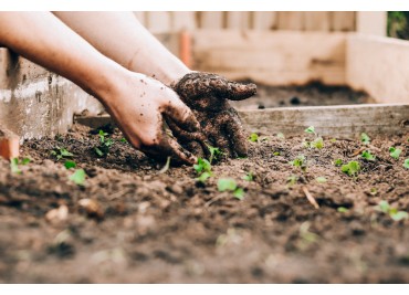 Hort urbà amb taules de cultiu